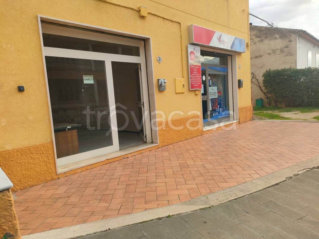 immagine annuncio 5 di 6