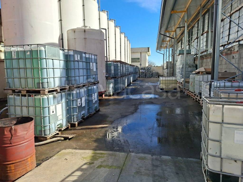 immagine annuncio 5 di 12