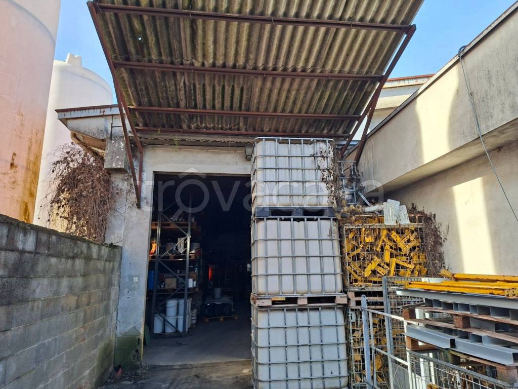 immagine annuncio 4 di 12