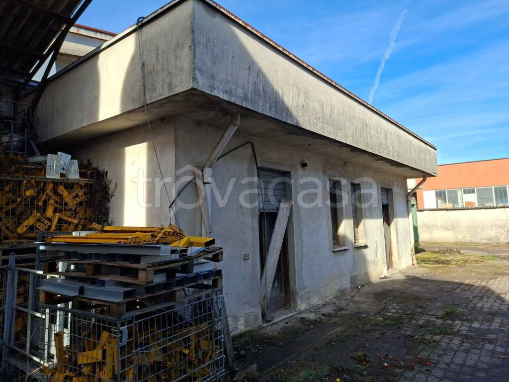 immagine annuncio 2 di 12