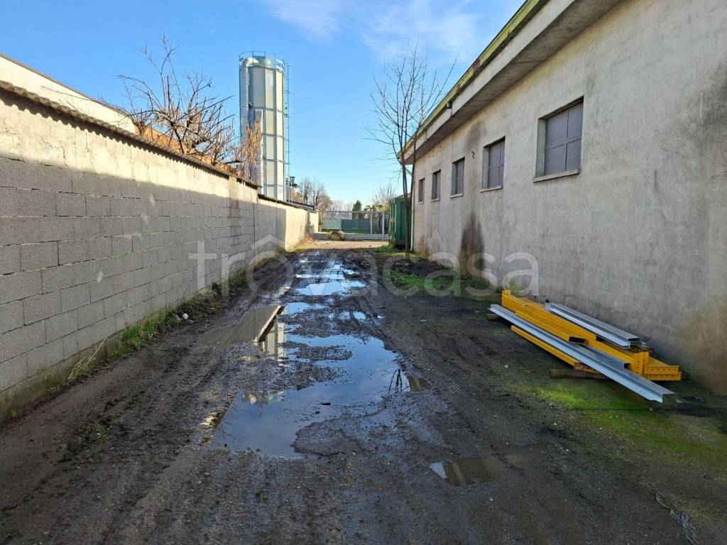 immagine annuncio 9 di 12