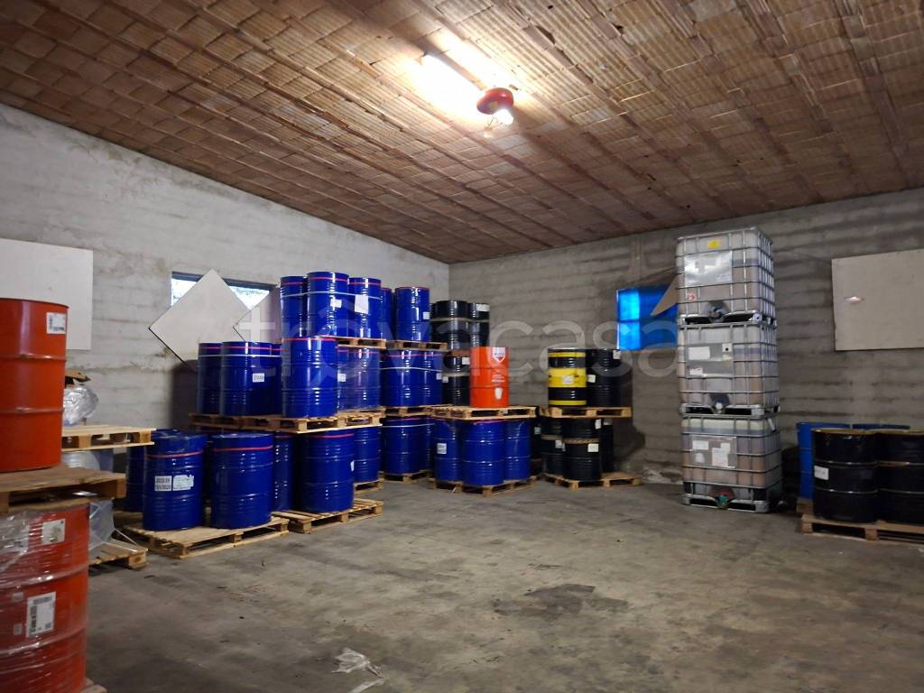 immagine annuncio 3 di 12