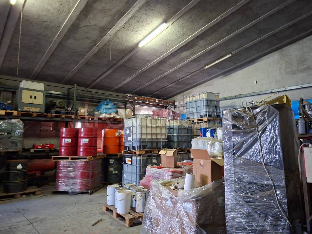 immagine annuncio 7 di 12