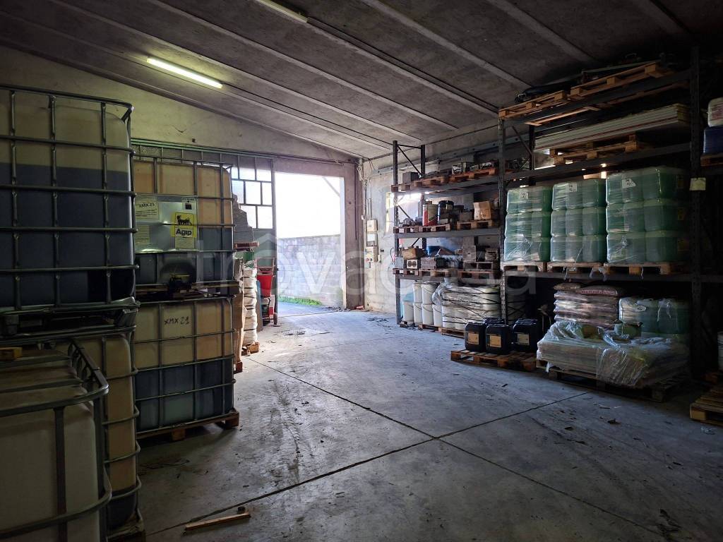 immagine annuncio 6 di 12