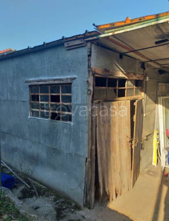 immagine annuncio 5 di 11