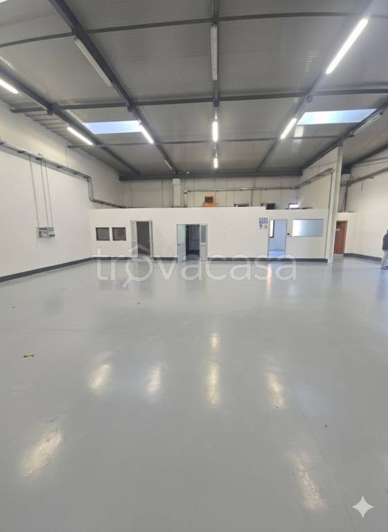 immagine annuncio 1 di 4