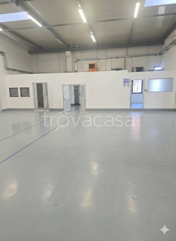 immagine annuncio 3 di 4