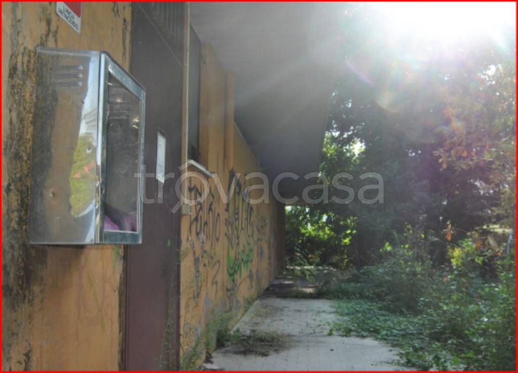 immagine annuncio 3 di 13