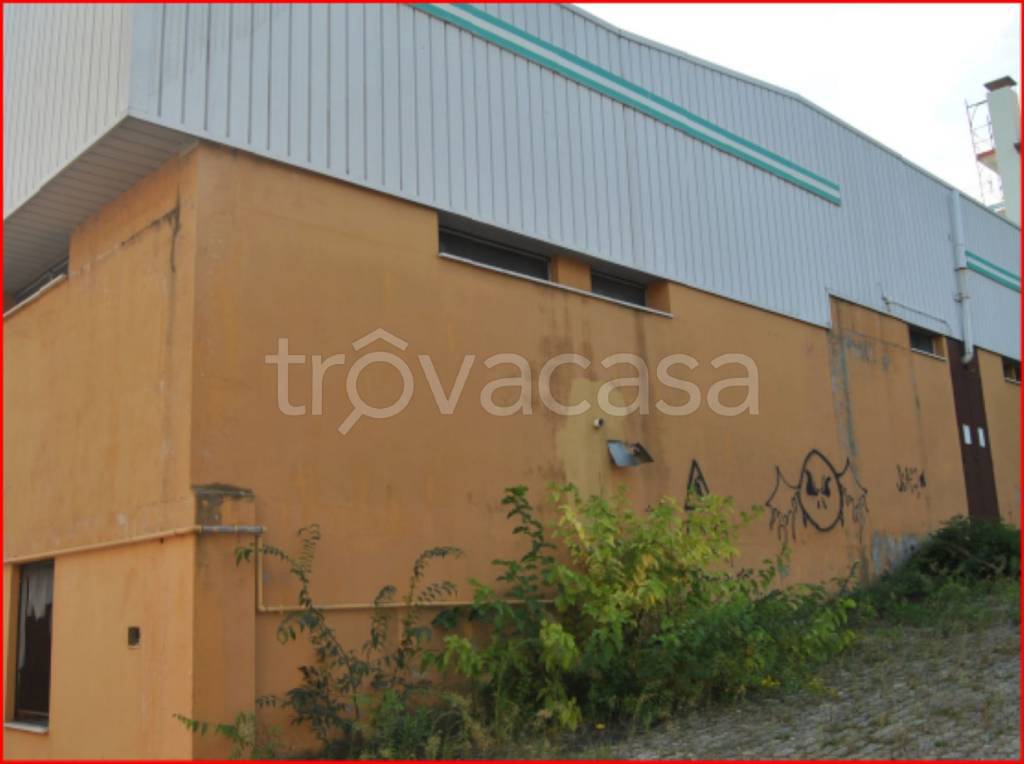 immagine annuncio 4 di 13