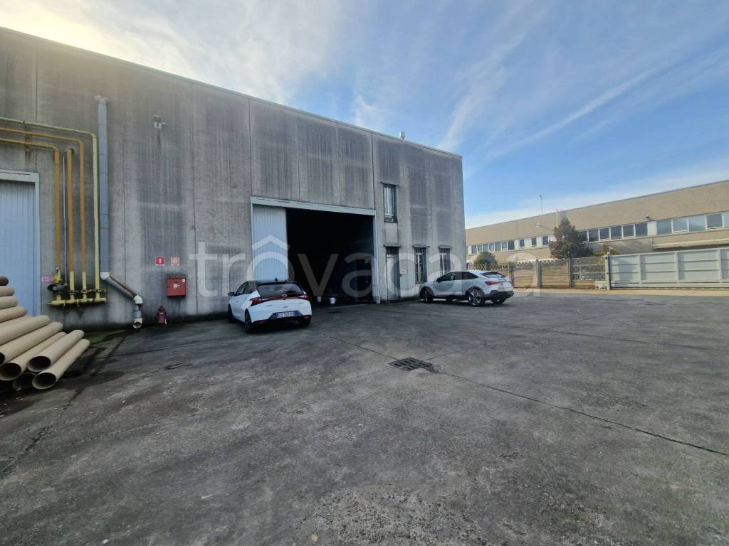 immagine annuncio 2 di 15