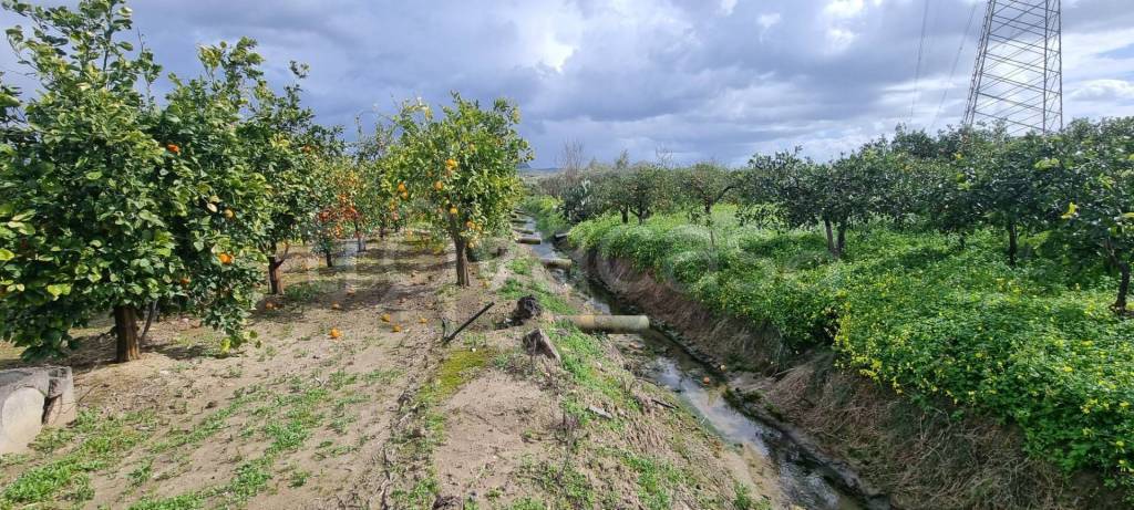 immagine annuncio 5 di 12