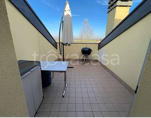 immagine annuncio 3 di 11