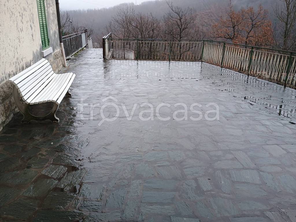 immagine annuncio 3 di 7