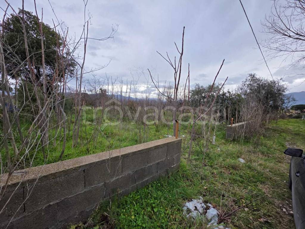 immagine annuncio 2 di 6