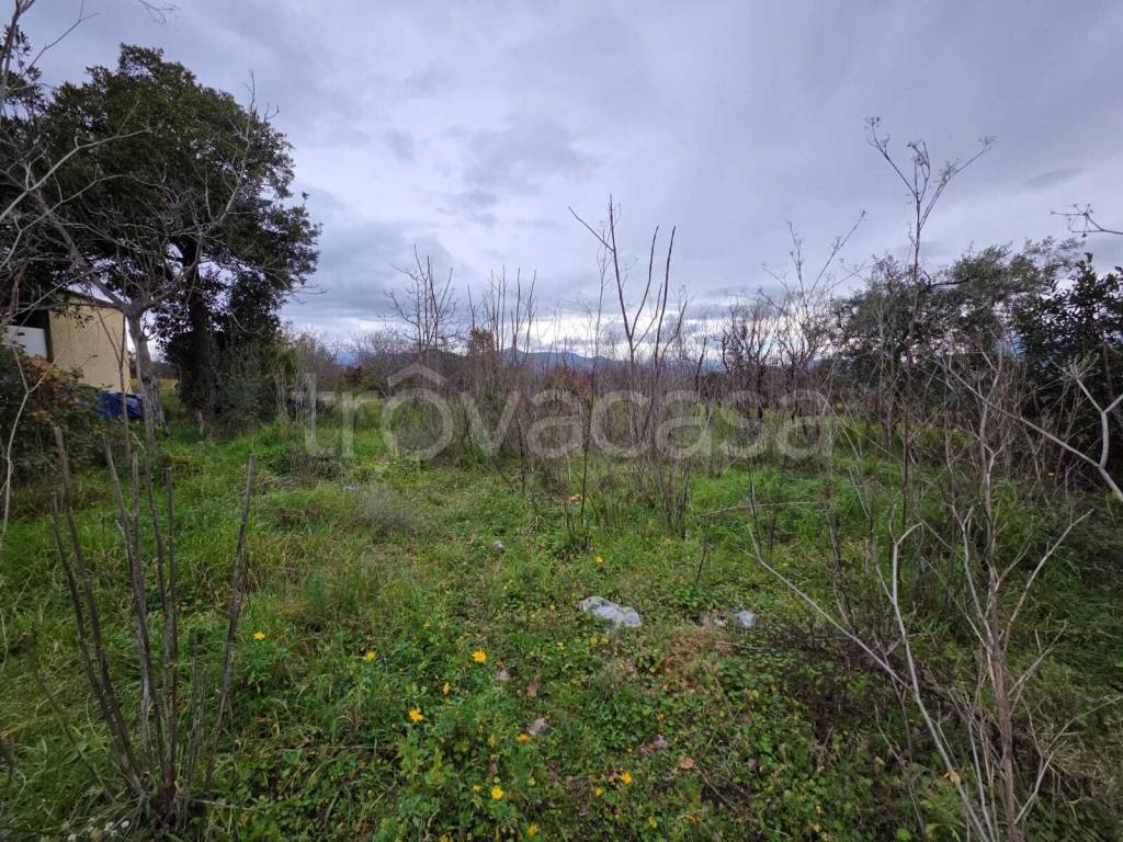 immagine annuncio 3 di 6