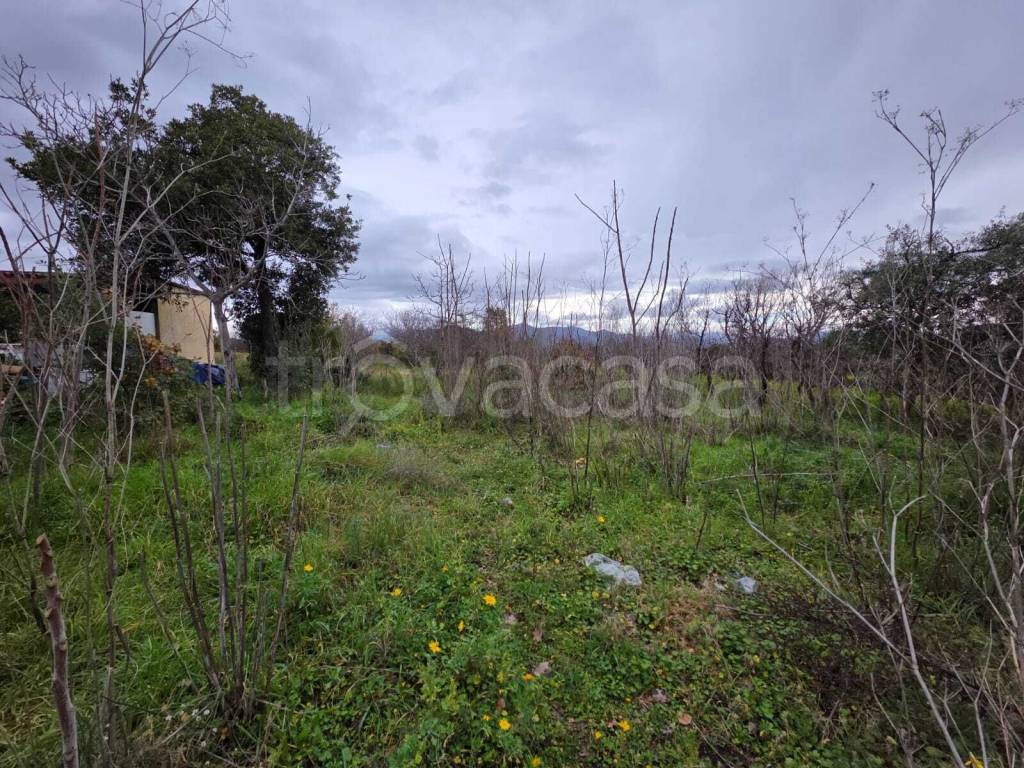 immagine annuncio 4 di 6