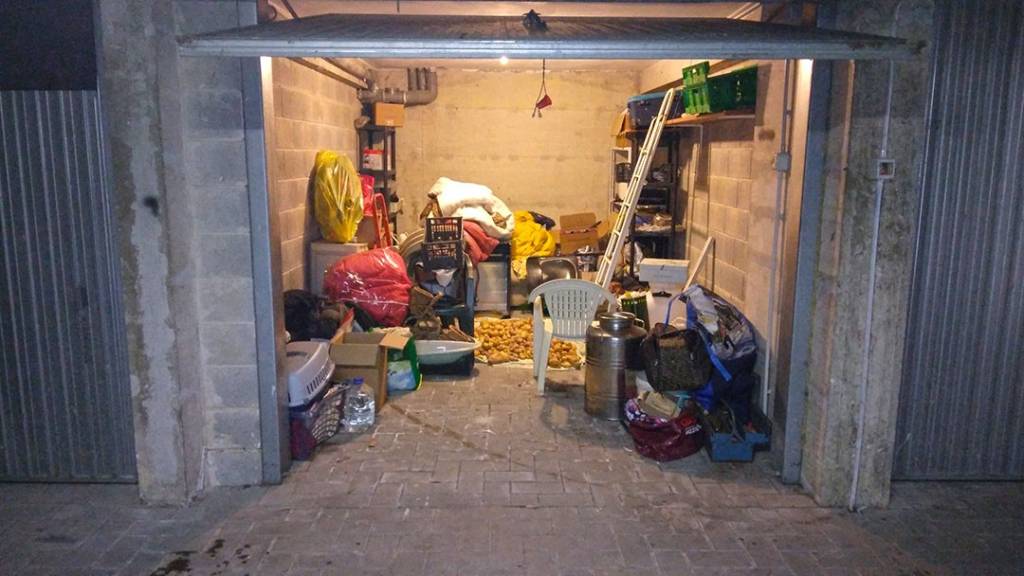 immagine annuncio 13 di 15