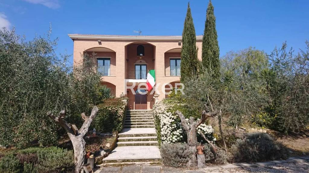 immagine annuncio 6 di 7