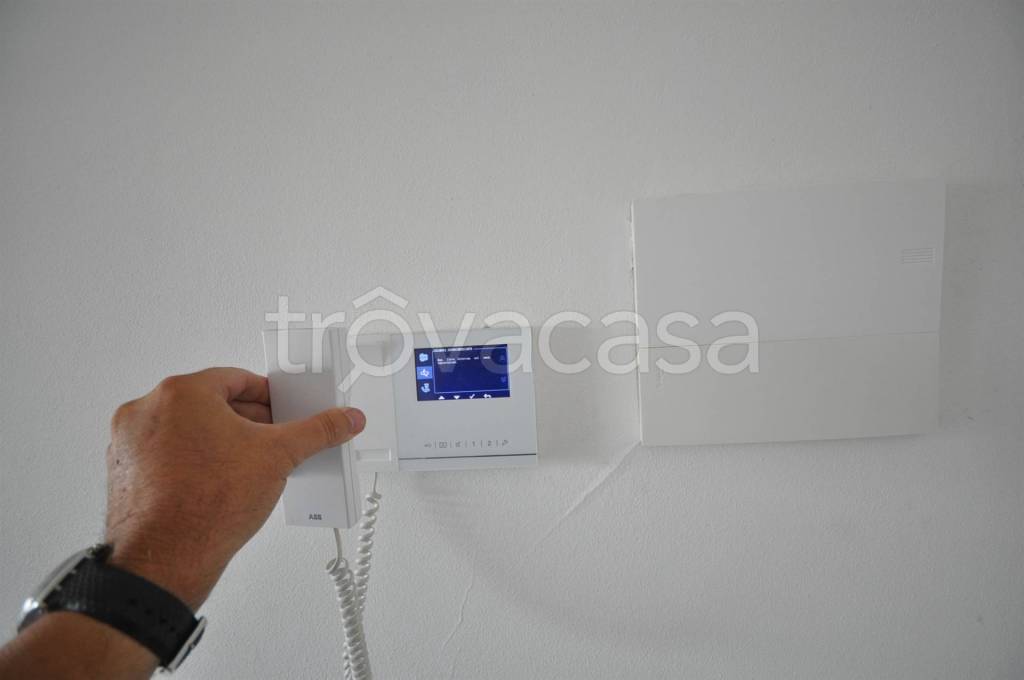 immagine annuncio 9 di 14