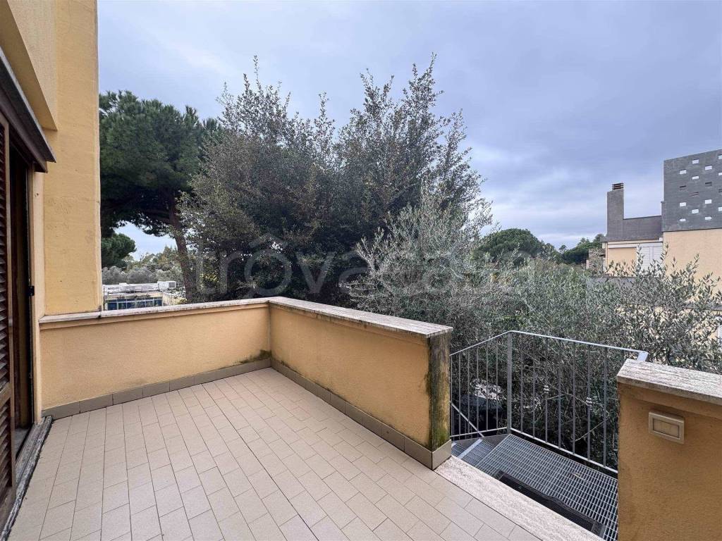 immagine annuncio 8 di 12