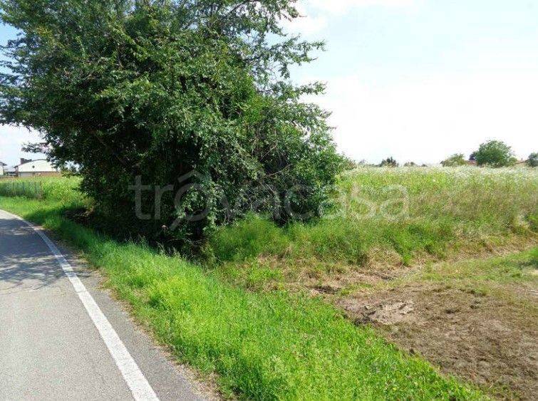 immagine annuncio 6 di 12