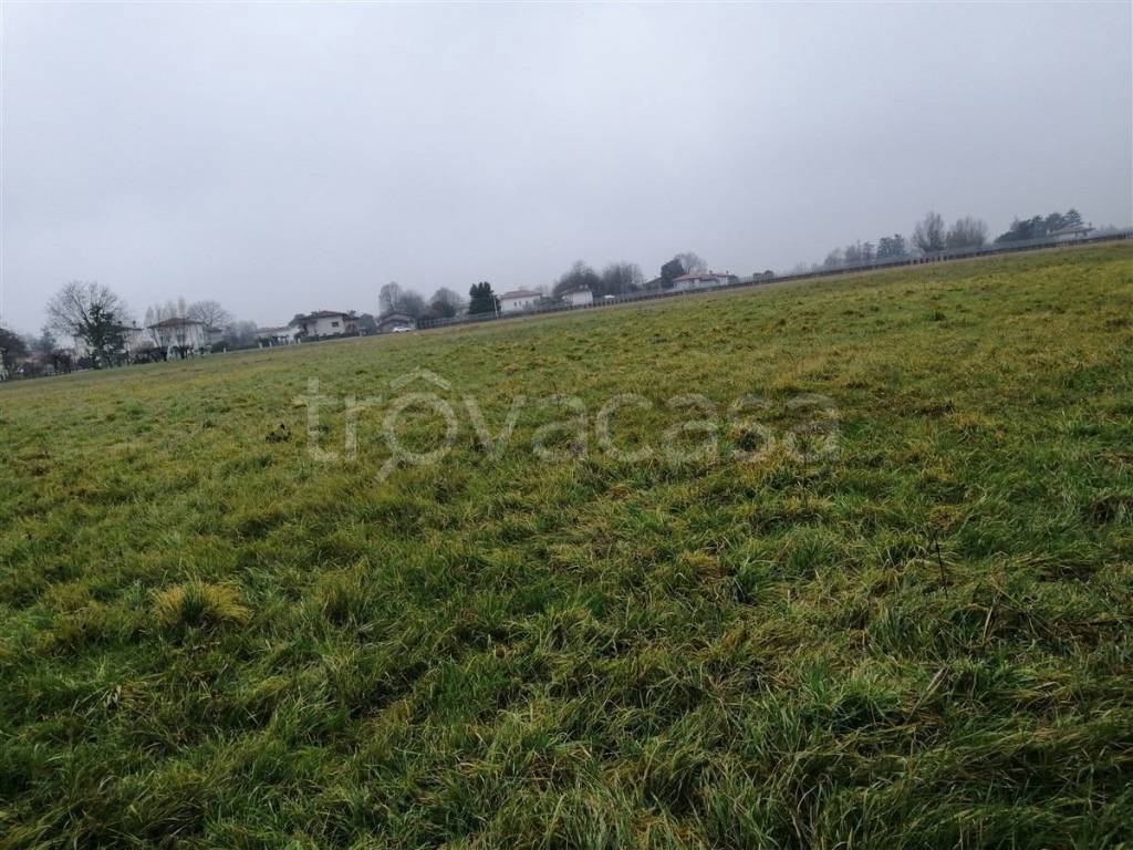 immagine annuncio 9 di 12