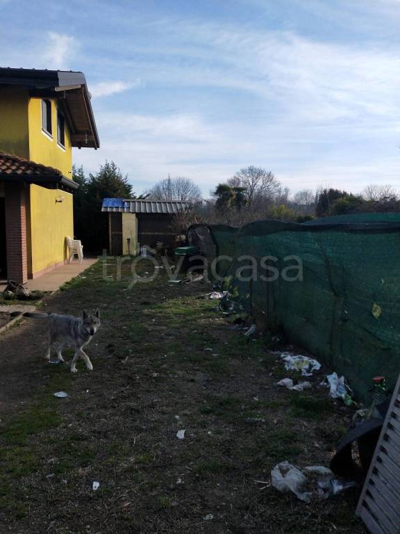 immagine annuncio 4 di 10