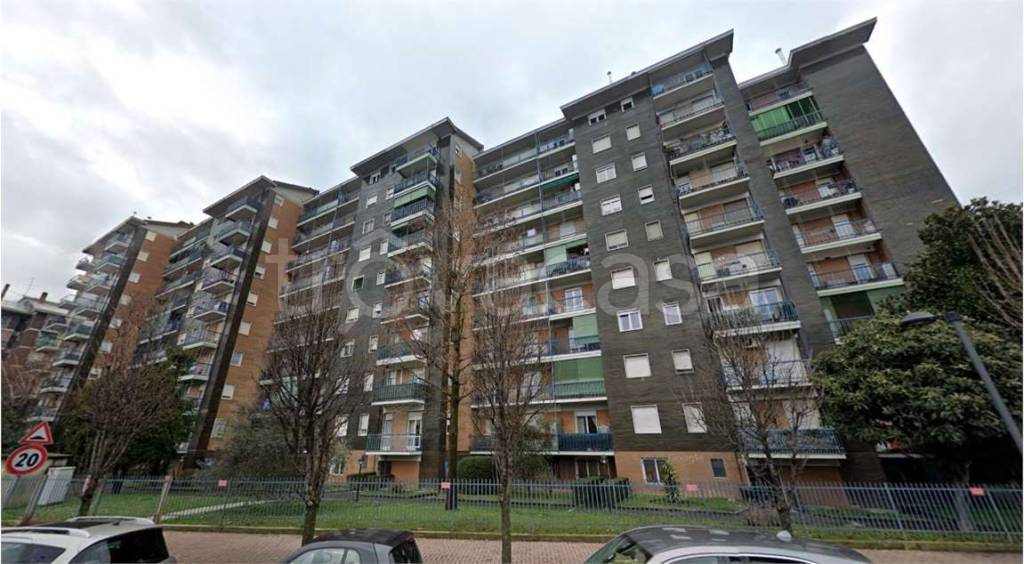 immagine annuncio 9 di 15