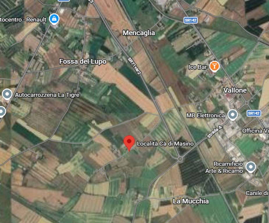 immagine annuncio 2 di 11