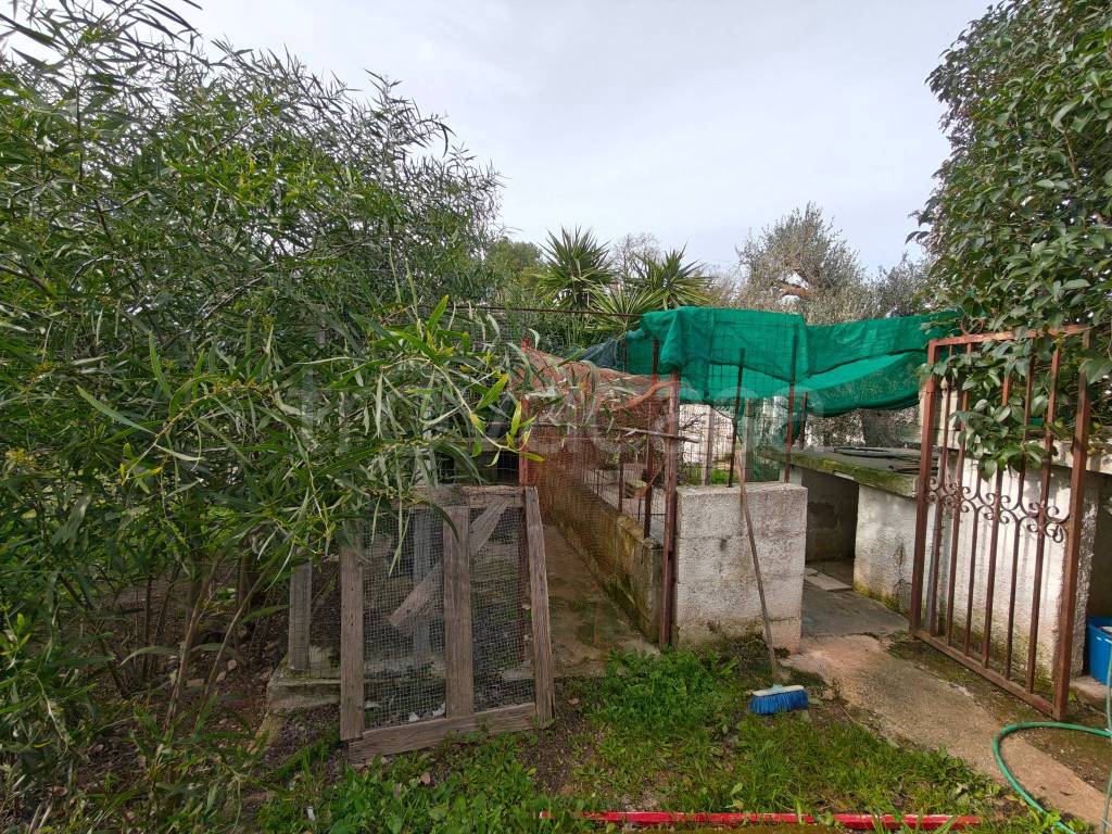 immagine annuncio 6 di 15