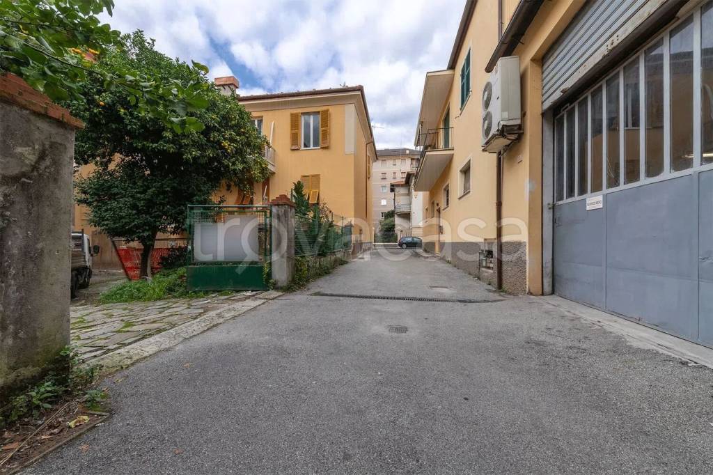 immagine annuncio 9 di 12