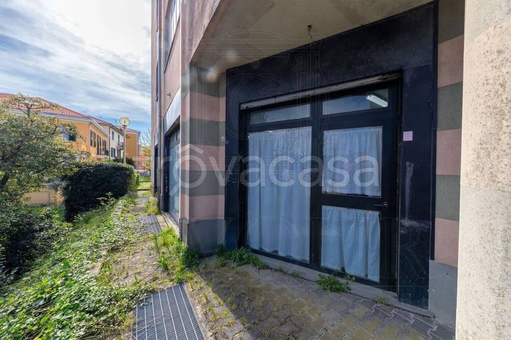 immagine annuncio 5 di 9