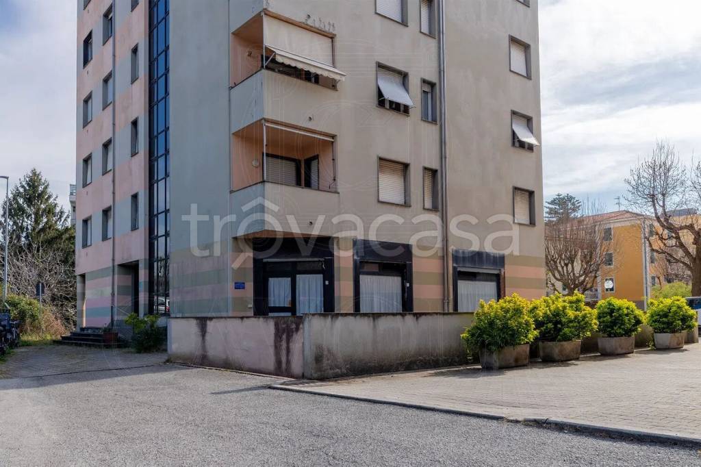 immagine annuncio 11 di 12