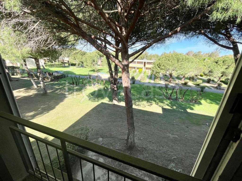 immagine annuncio 6 di 8