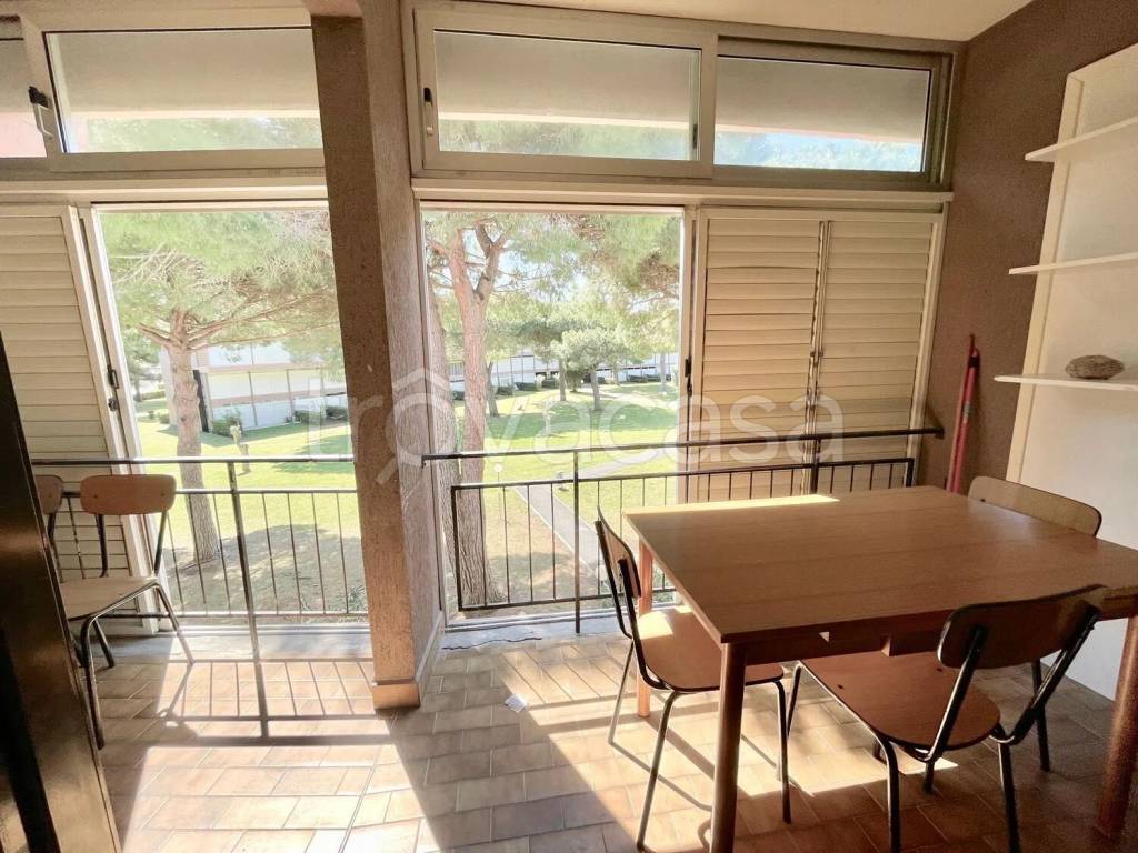 immagine annuncio 9 di 14