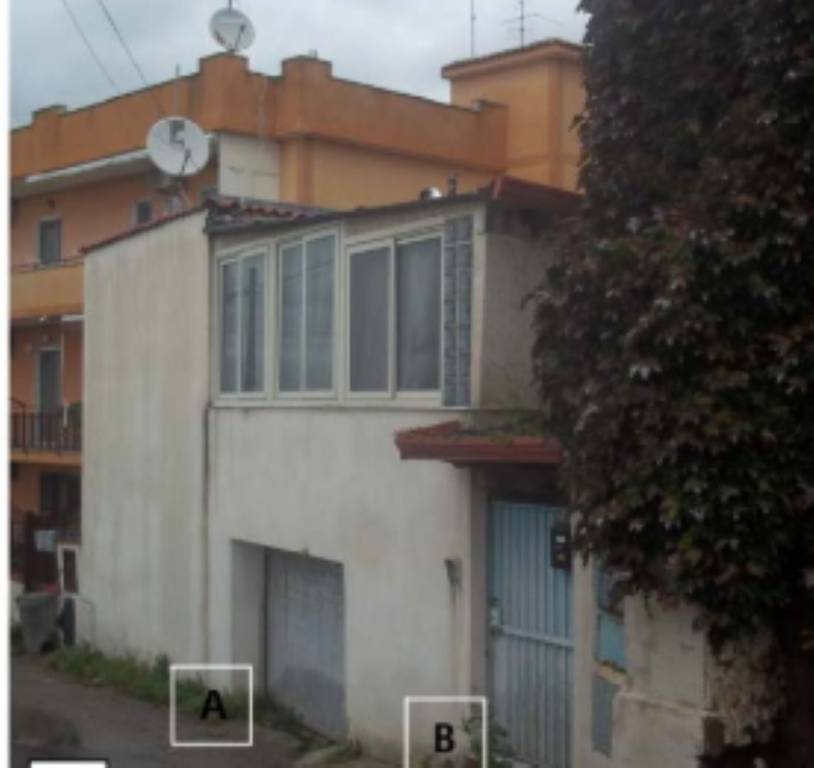 immagine annuncio 4 di 11