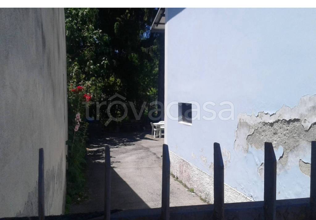 immagine annuncio 5 di 11