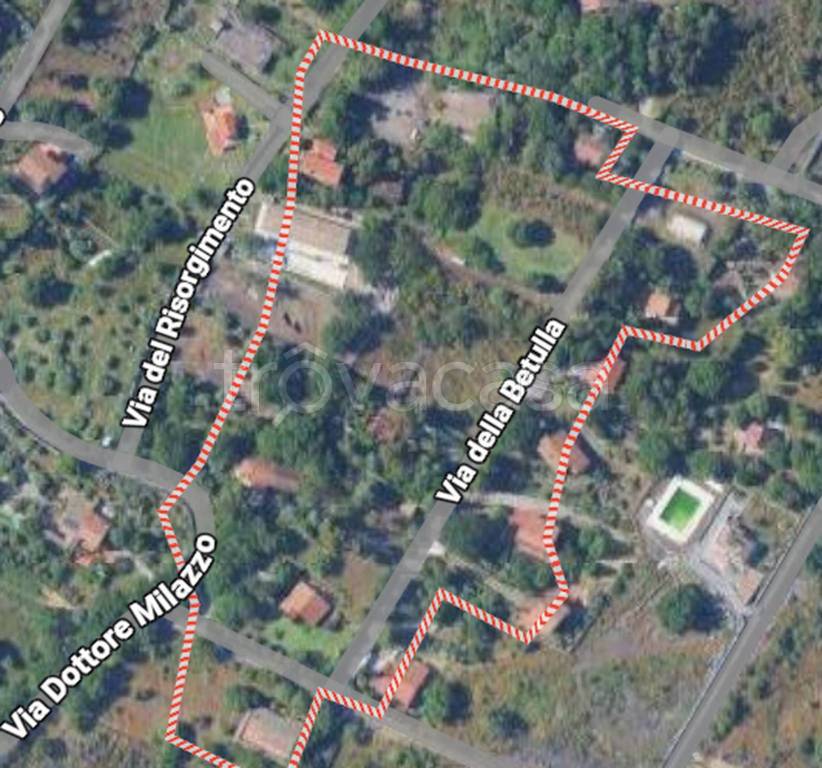 immagine annuncio 8 di 11