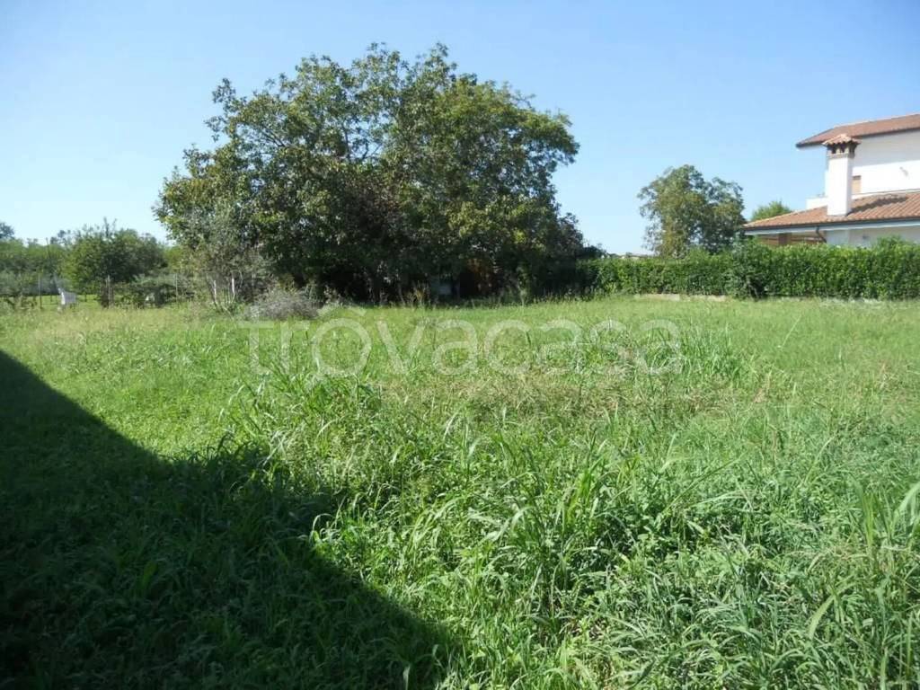 immagine annuncio 4 di 8