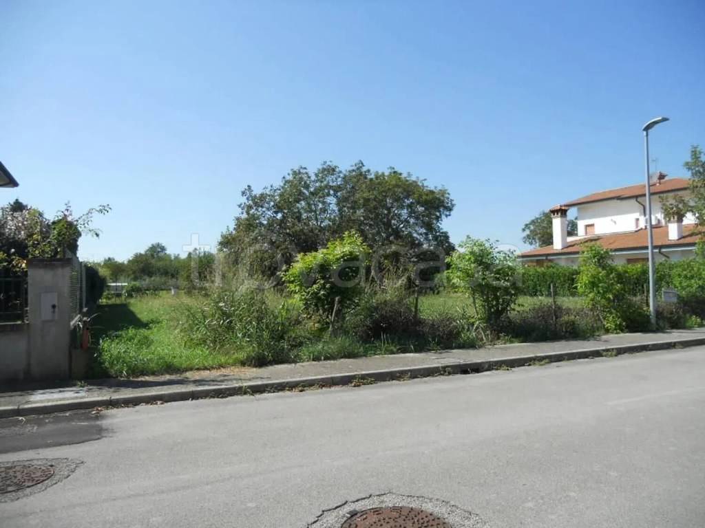 immagine annuncio 6 di 8