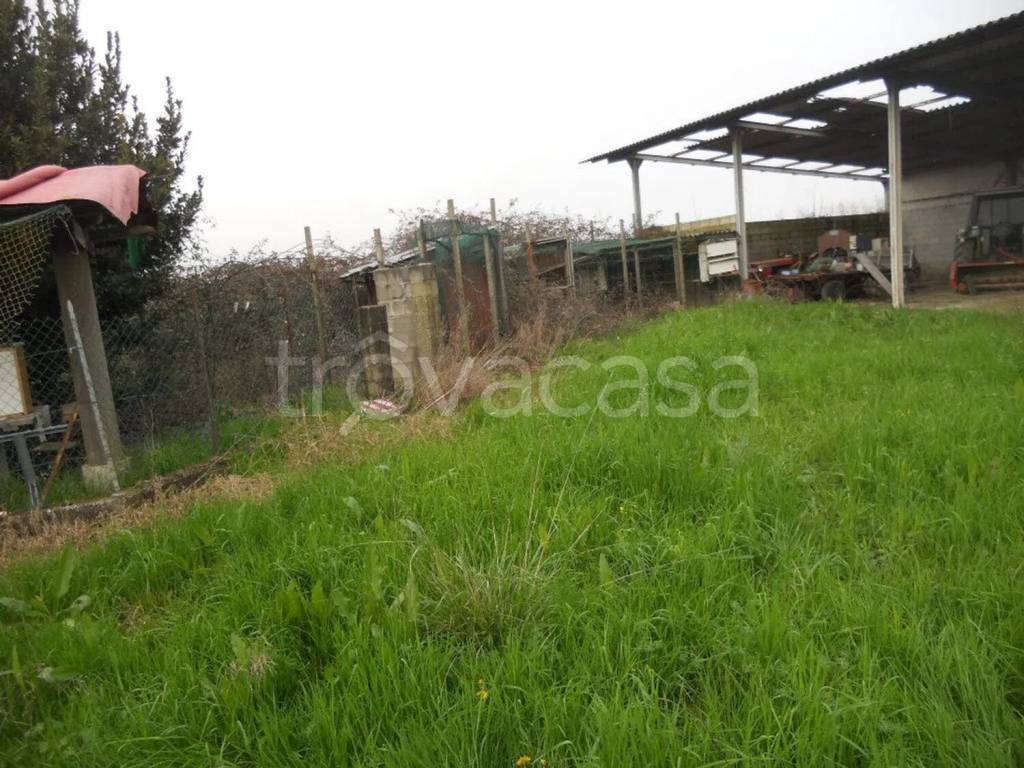 immagine annuncio 1 di 6