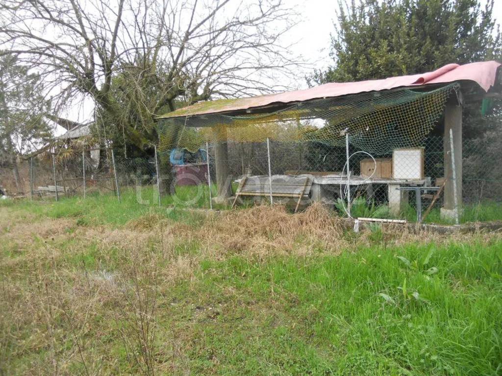 immagine annuncio 2 di 6