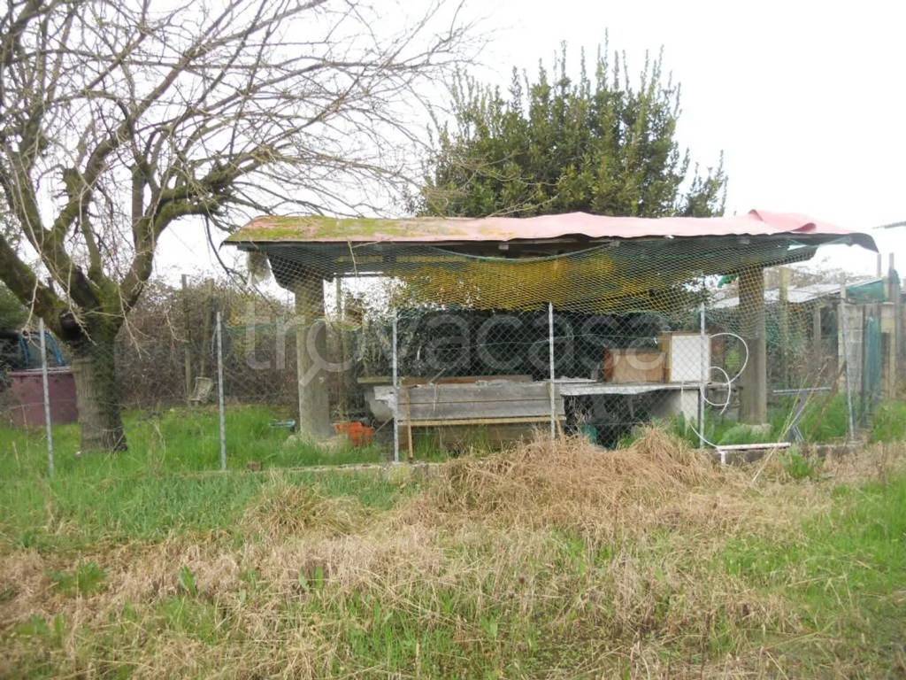 immagine annuncio 3 di 6