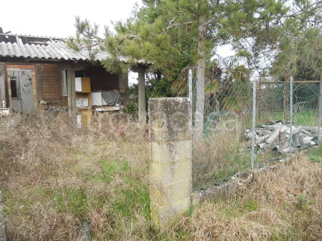 immagine annuncio 4 di 6