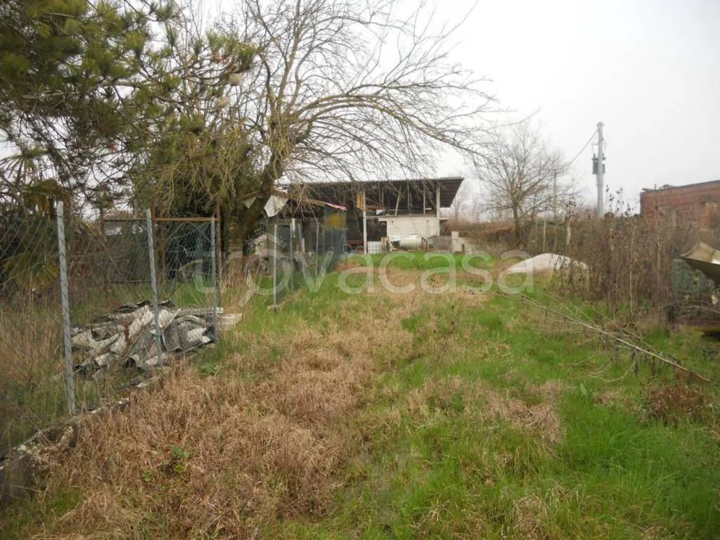 immagine annuncio 5 di 6