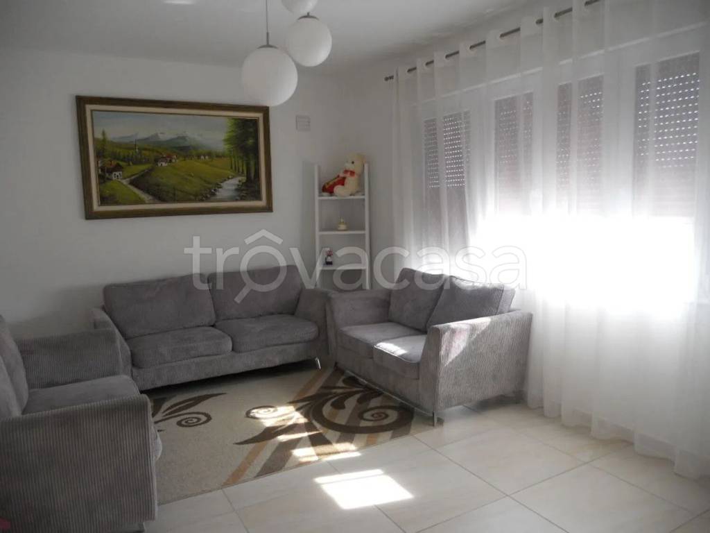 immagine annuncio 6 di 14