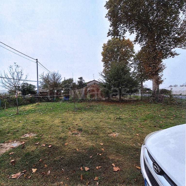 immagine annuncio 3 di 12