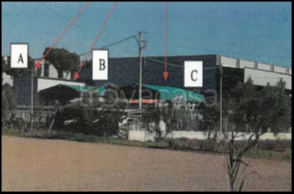 immagine annuncio 1 di 12