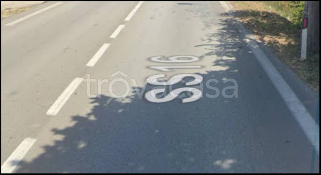 immagine annuncio 6 di 12