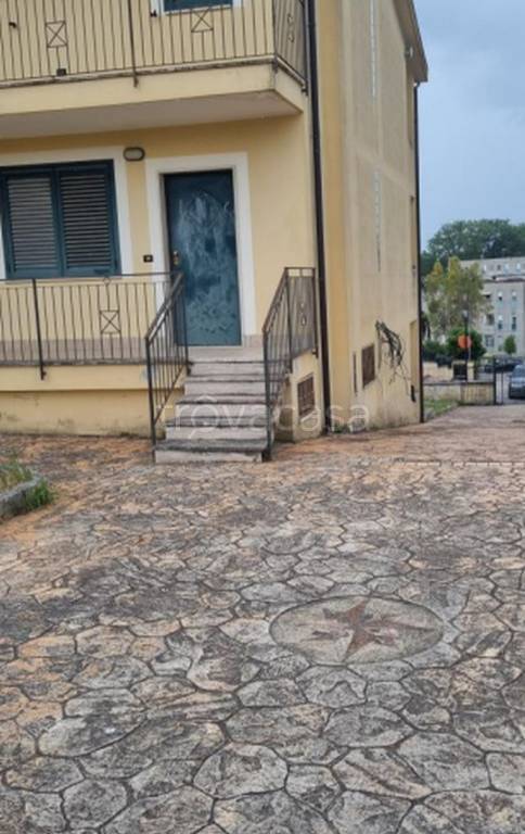 immagine annuncio 5 di 12